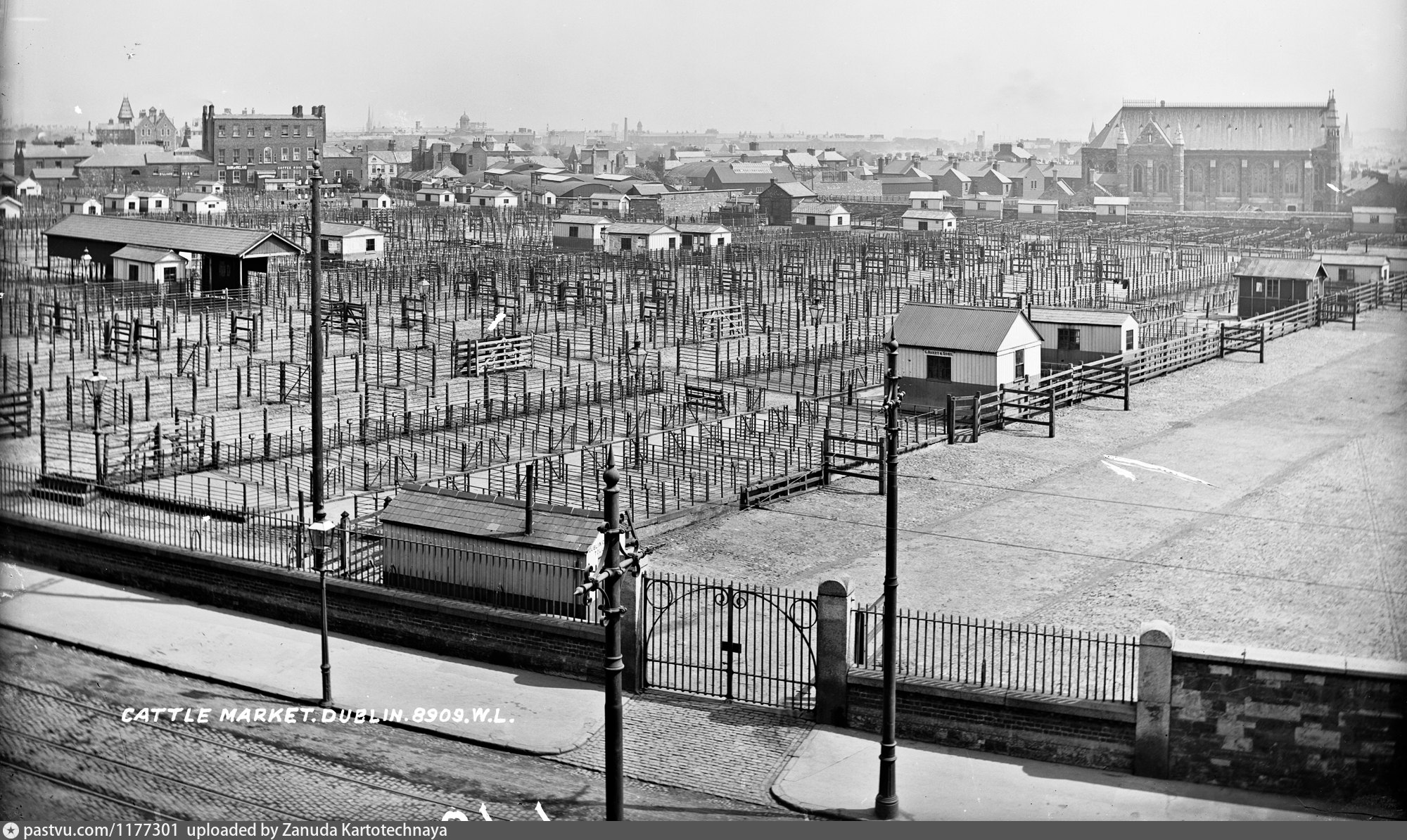 Cattle Market On North Circular Road