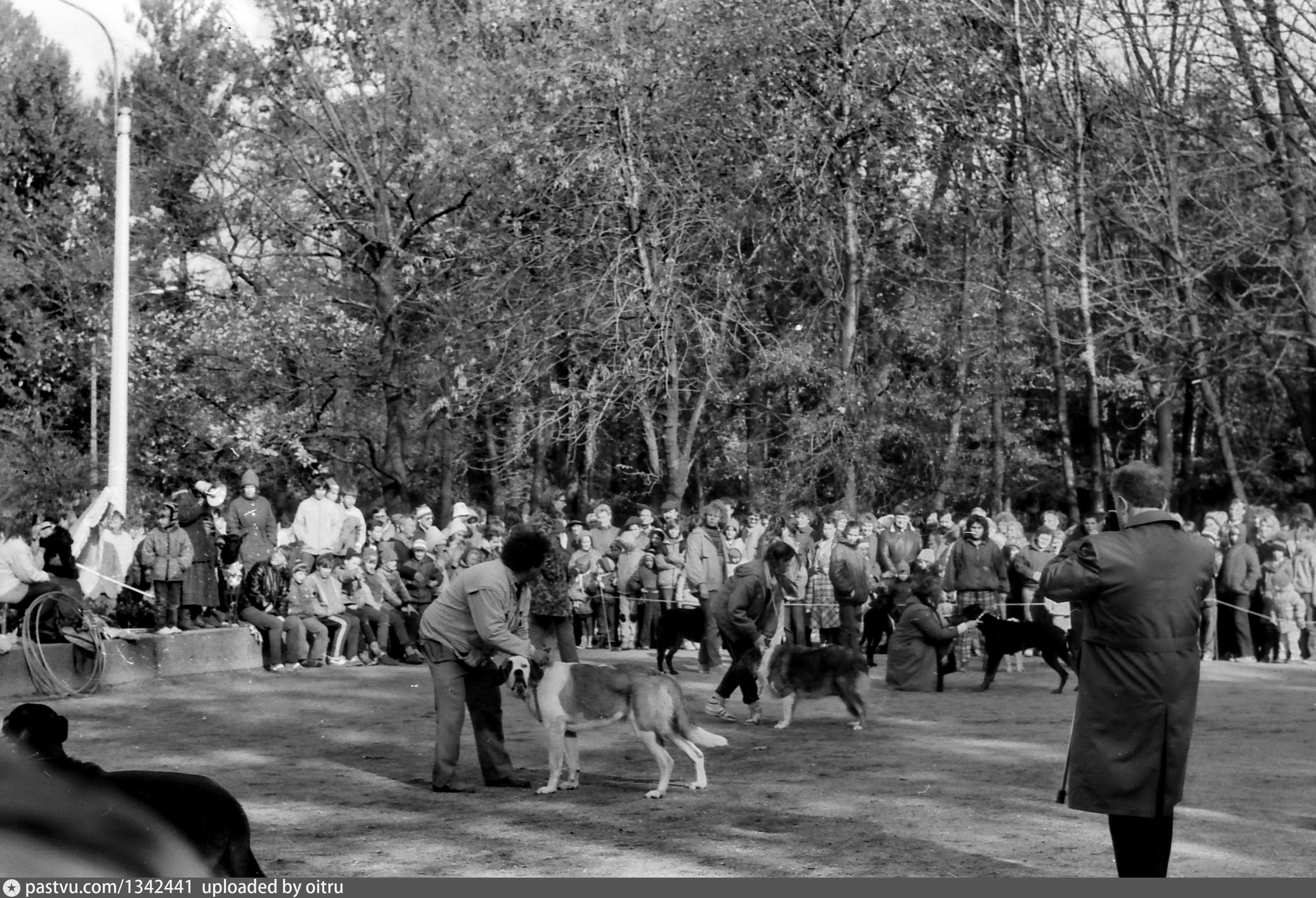 Парк влксм москва. Парк имени 30 летия ВЛКСМ Санкт-Петербург. Парк 30 летия Комсомола Петербург. Парк культуры и отдыха 30 лет ВЛКСМ Омск. Парк 50 летия ВЛКСМ старые фото Куйбышев.