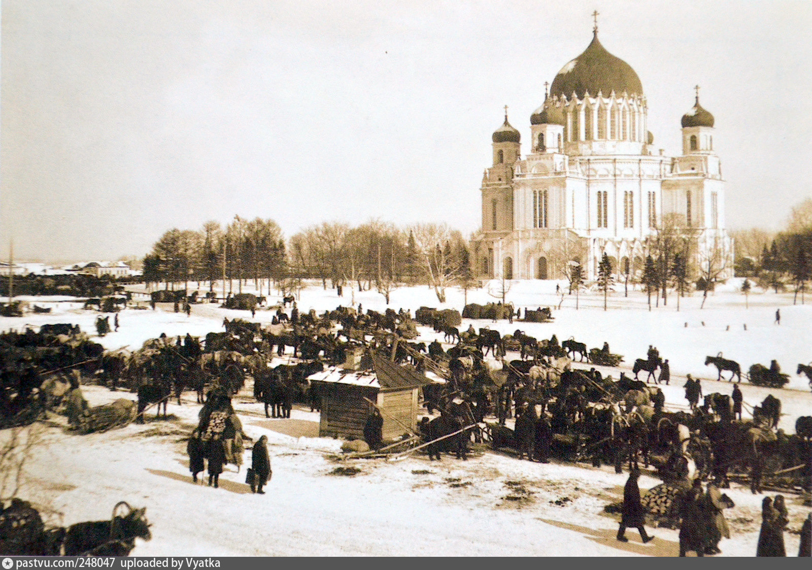 Александро невский собор фото