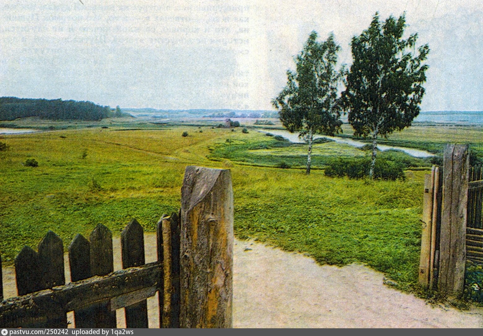 пушкинские горы старые