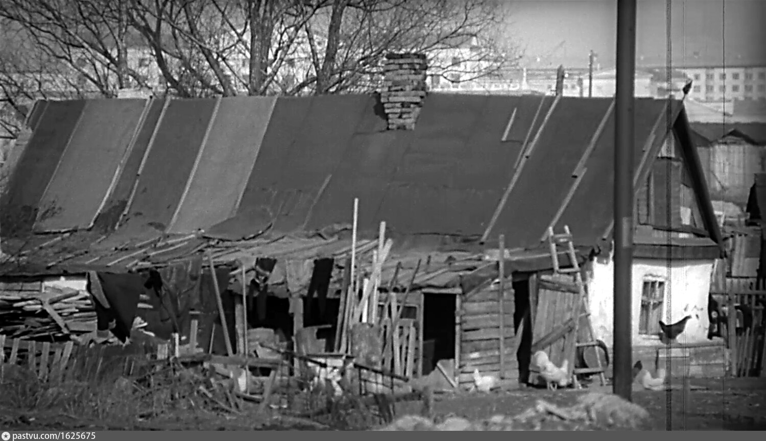 Старые черемушки старые фотографии