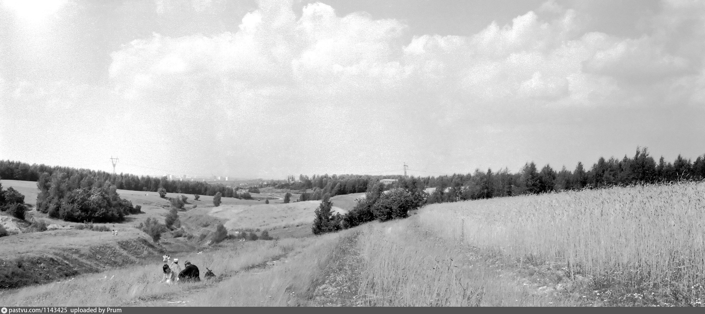 Соленый овраг село воскресенка. Солёный овраг Новокуйбышевск. Овраги Тропарево. Соленый овраг. Тропаревское кладбище.