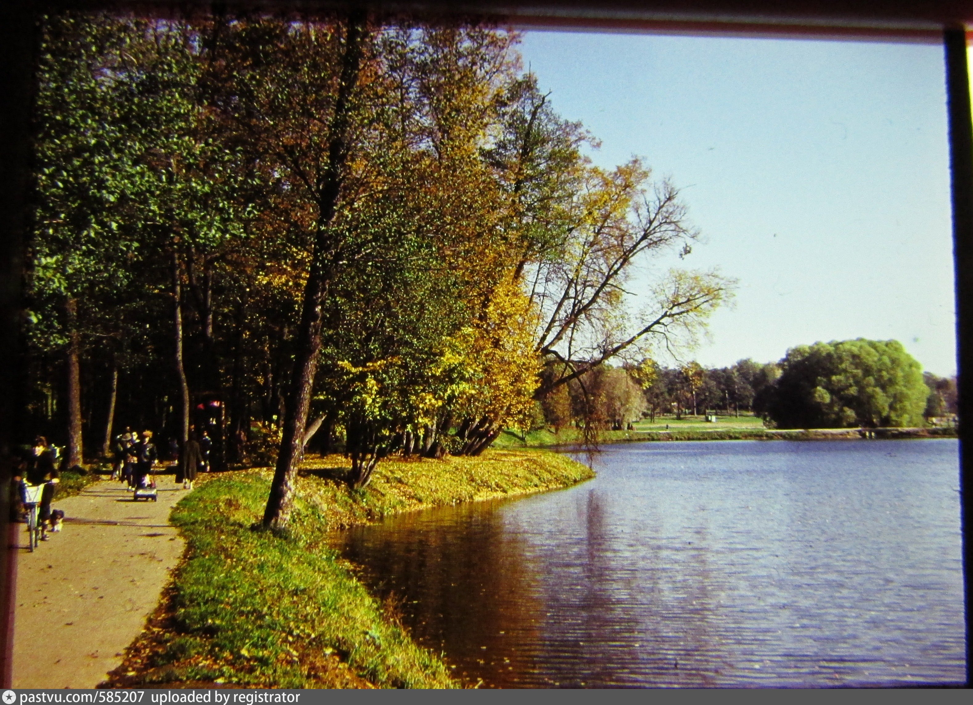 Кузьминский пруд в Москве