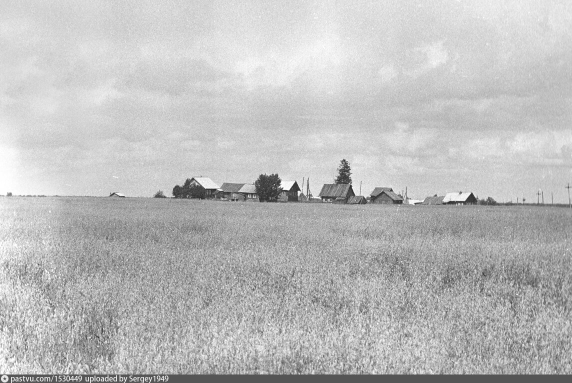 Деревня на горке стояла. Поля деревня горки. Погост вдали. Деревня 1986. Краснодон поля.