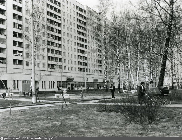 История зеленограда в фотографиях