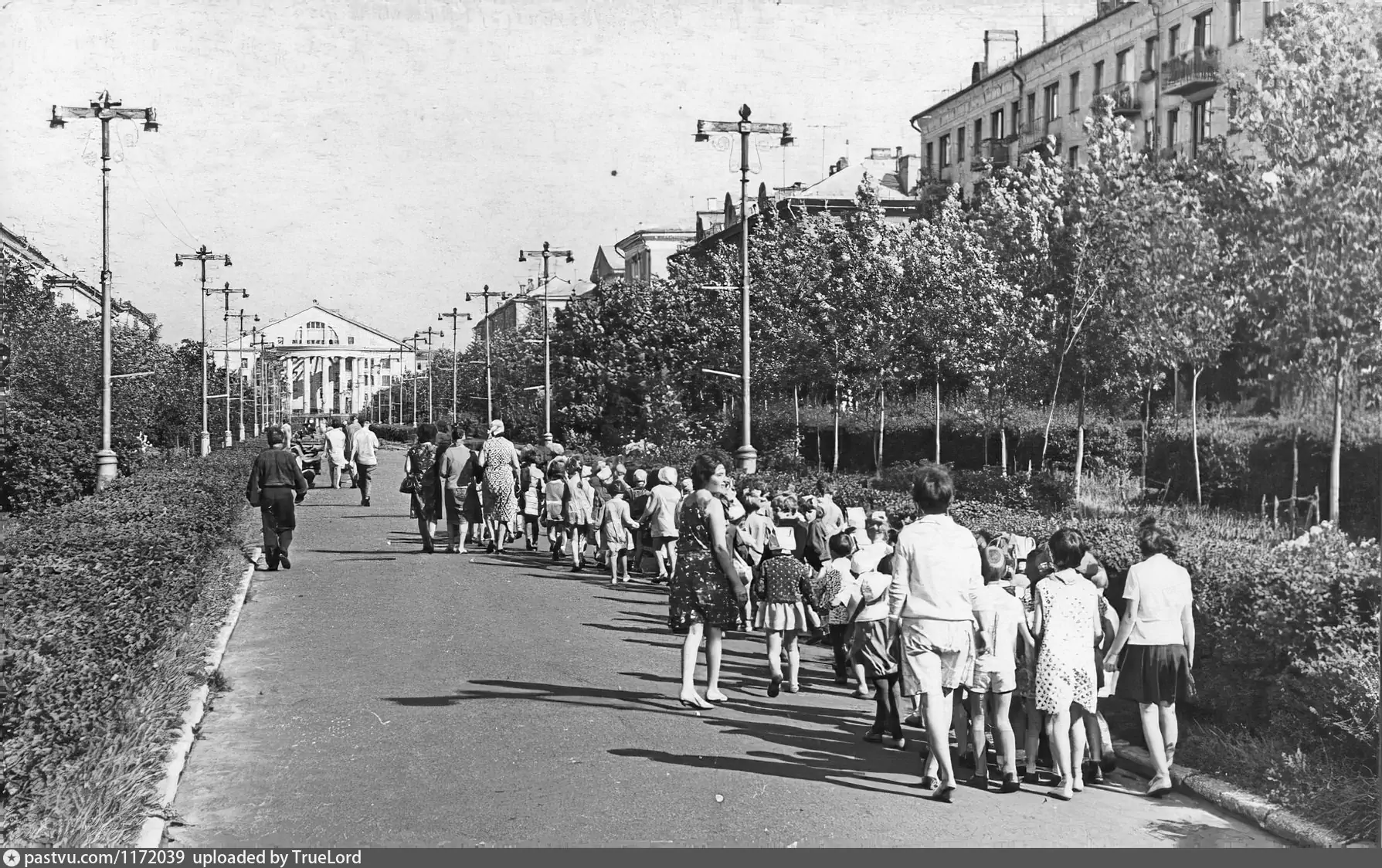 Старая 80. Электросталь аллея на проспекте Ленина. Проспект Ленина Электросталь 1960. Аллея проспект Ленина 80-е. Электросталь проспект Ленина.