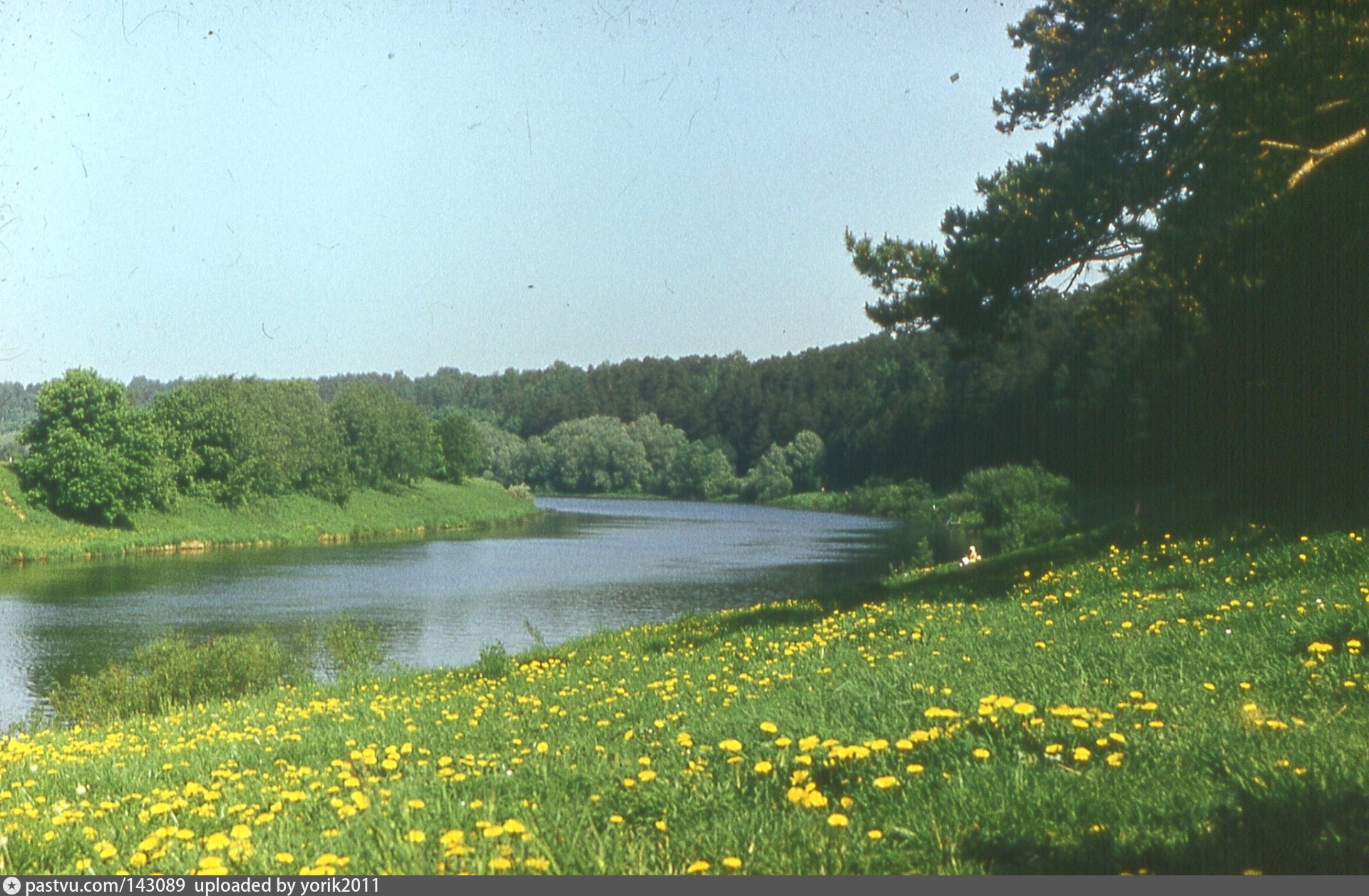 Пляж дипломат николина. Николина гора Москва река. Николина гора Звенигород. Николина гора пляж Звенигород. Пляж дипломат Николина гора.