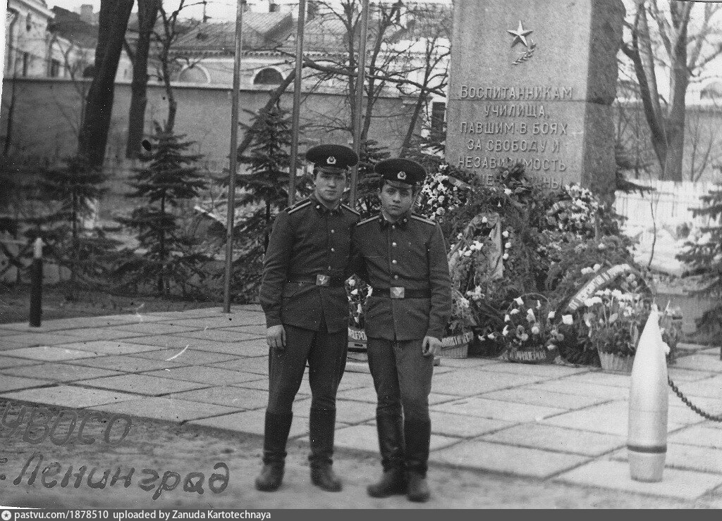 Фото лву ждв и восо