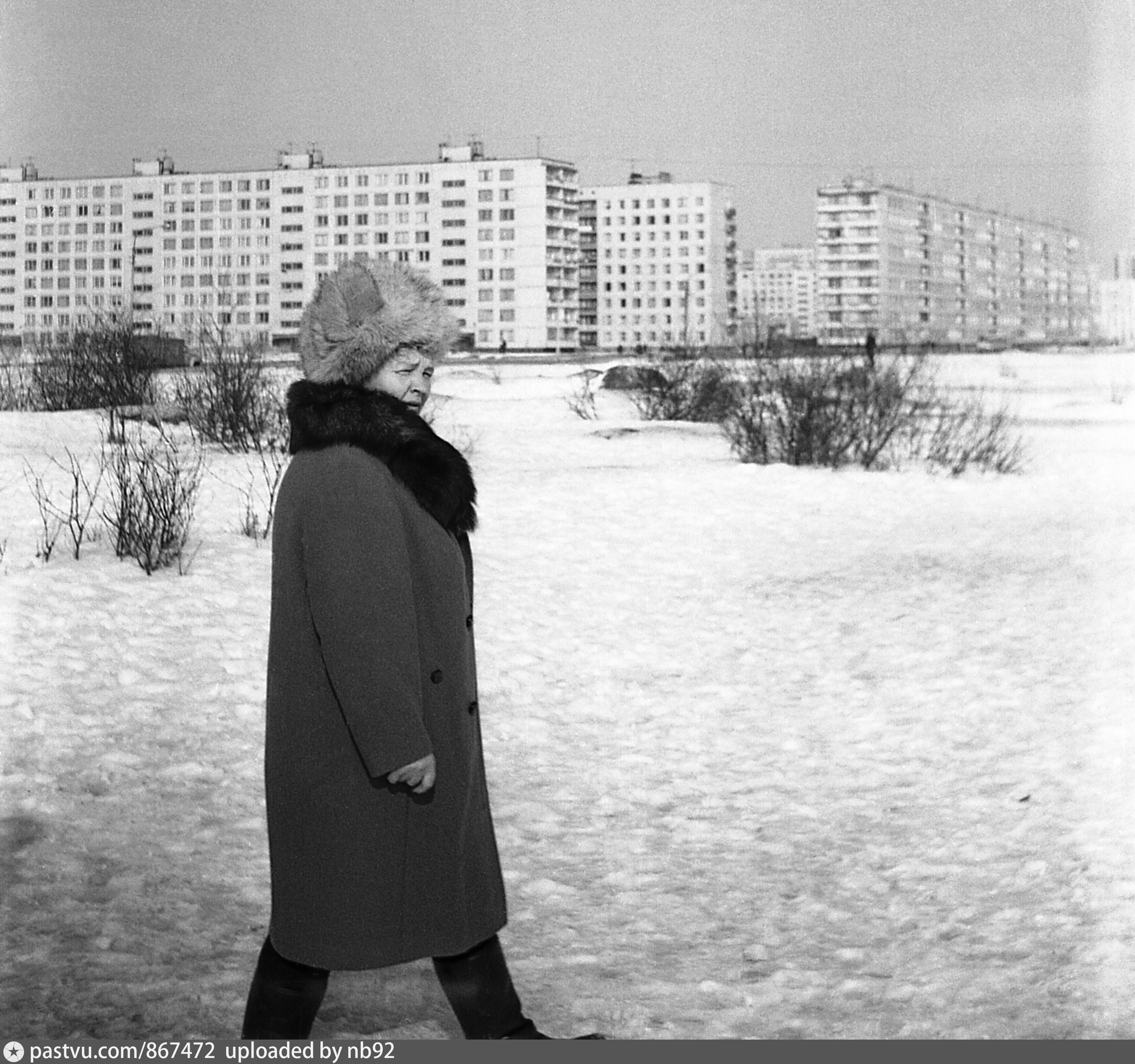 Купчинская улица. Купчинская 19 к 2. Фотографии Купчино 1940-1981. Дунайский проспект старые фото. Старые фото Купчино Будапештская 8.