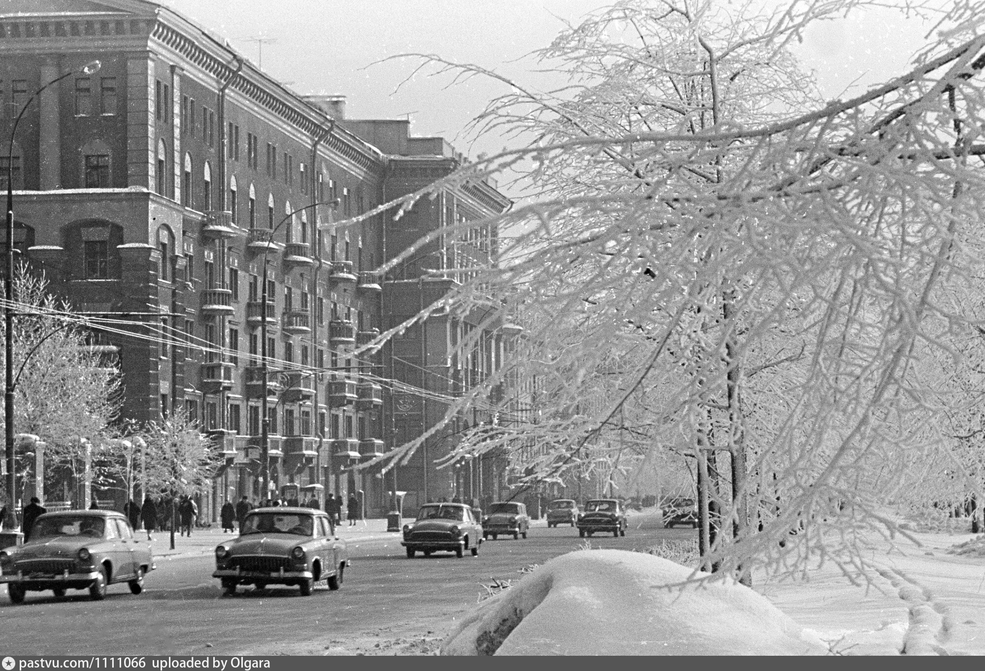 1960 год города. Ленинградский проспект 1960. Ленинградский проспект фото 1960. Ленинградский проспект,1965 год. Наум Грановский Ленинградский проспект.