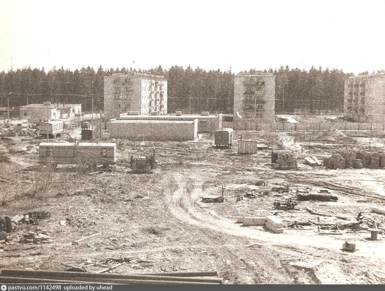 Фото в заре балашиха