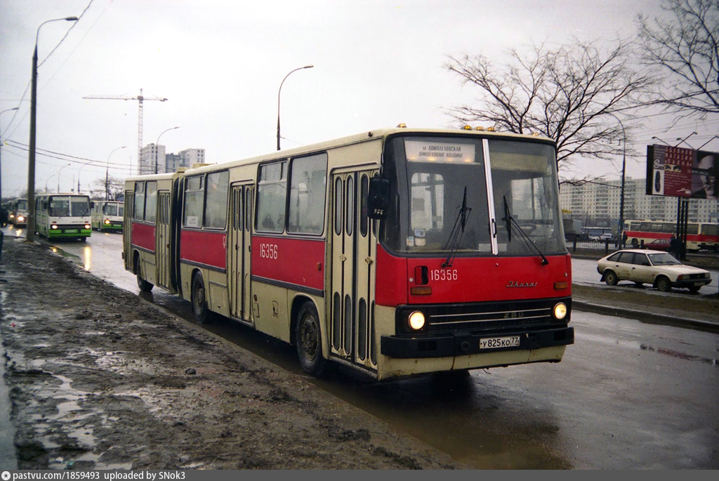 Фото икаруса автобуса