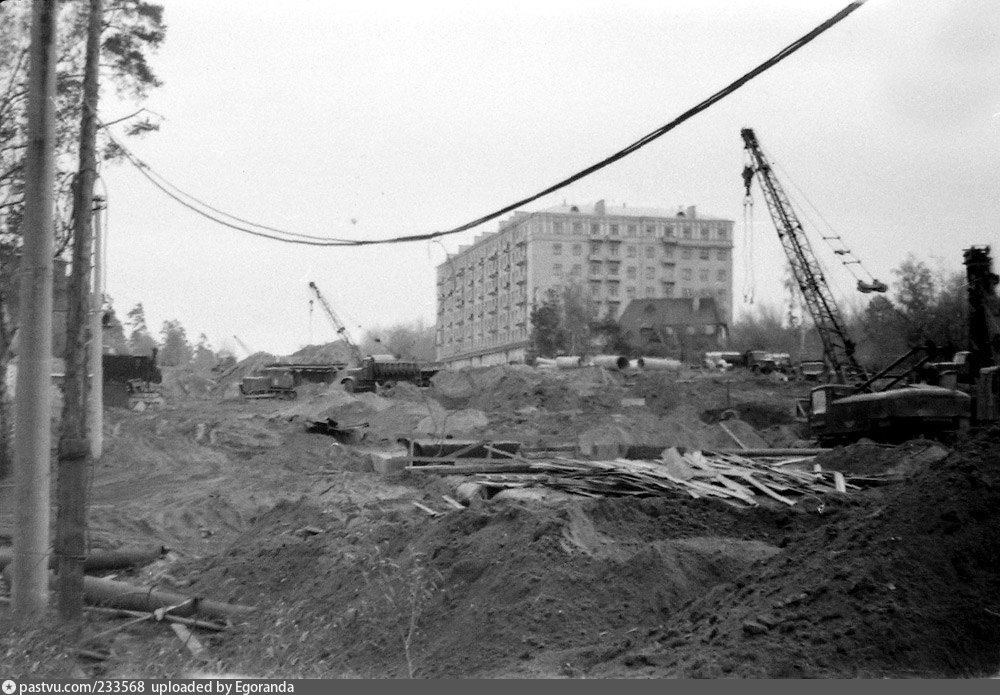 Щукино старые фотографии