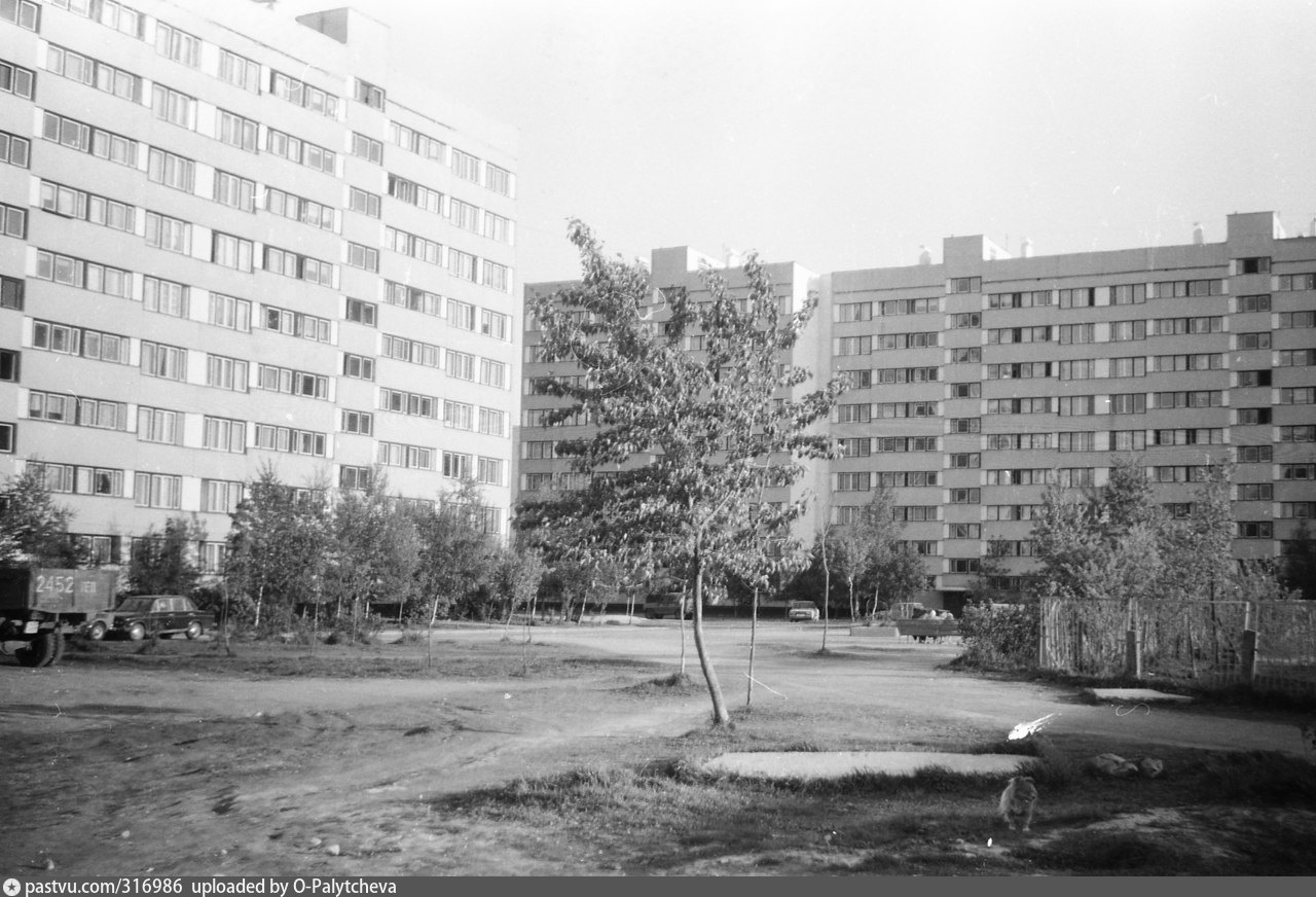 Жени егоровой. Проспект Просвещения 1990. , Ул. композиторов, 26/3. Шувалово Озерки 90 е. Жени Егоровой 80 годы.