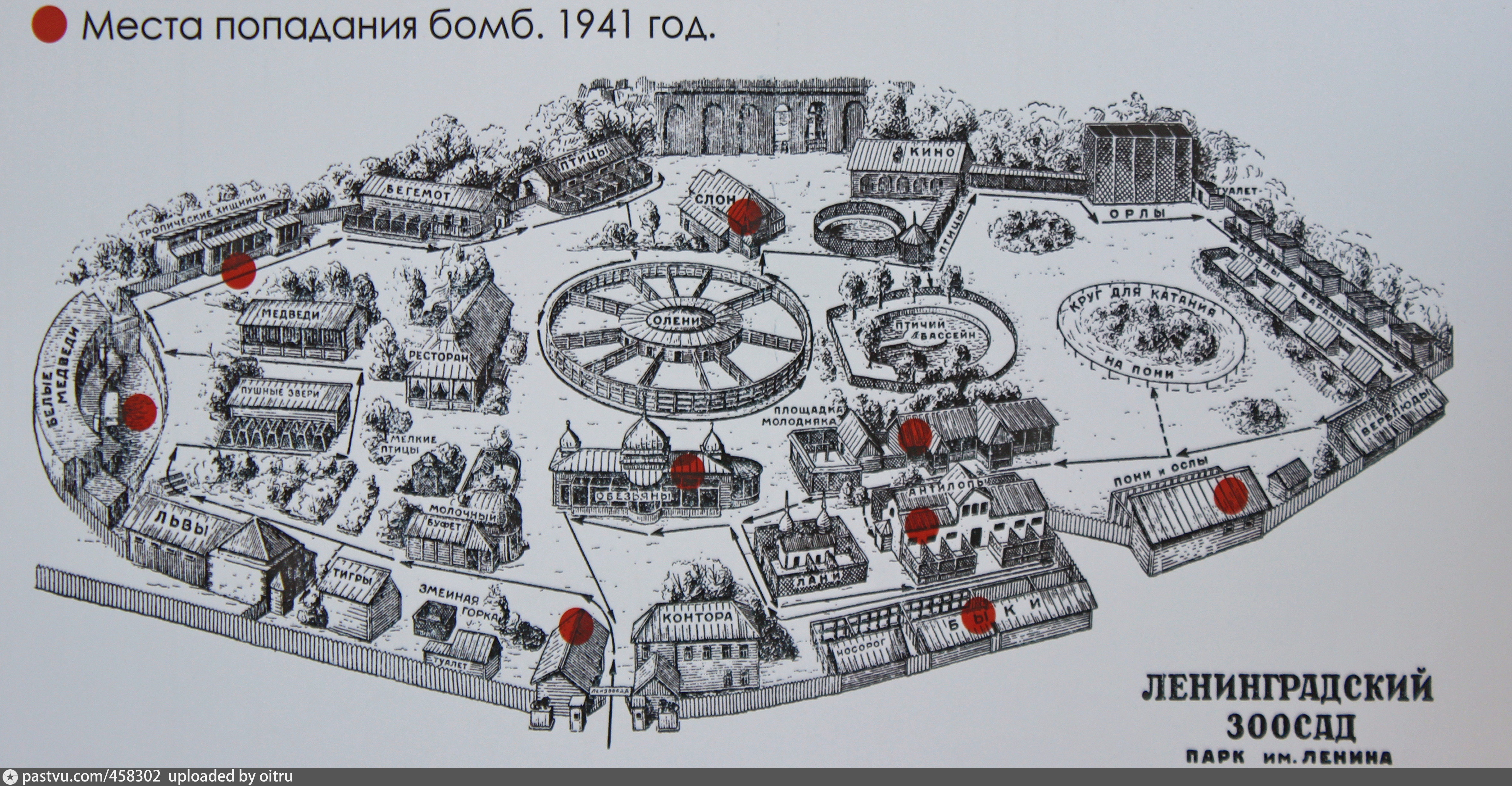 Карта санкт петербурга зоопарк - 90 фото
