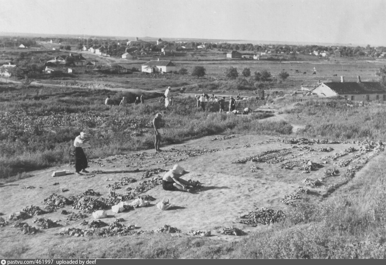 Тамань 1943. Немцы на Тамани. Раскопки в станице Тамань. Старая тамань