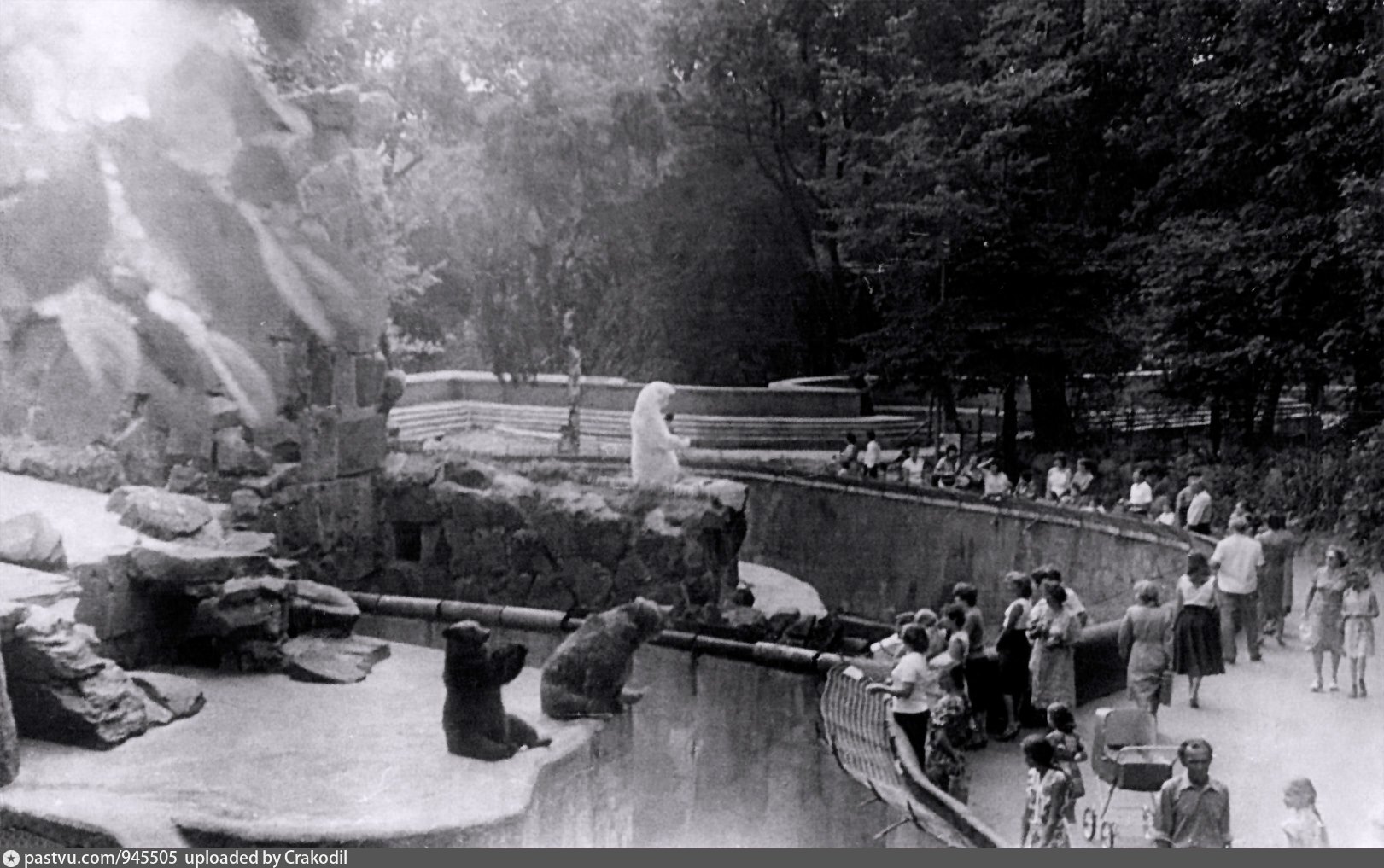 зоопарк калининград старые