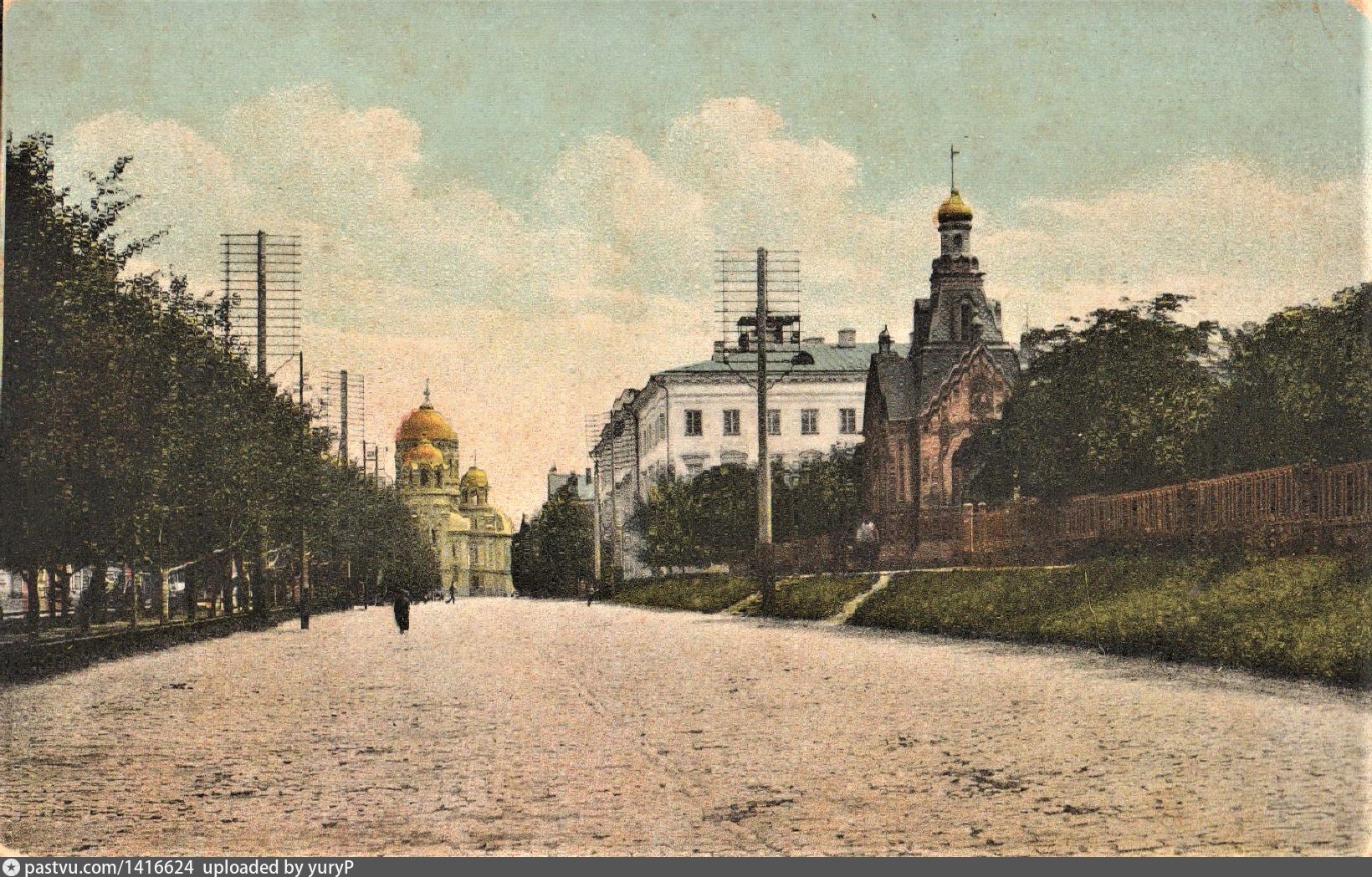 Виноград платовский фото