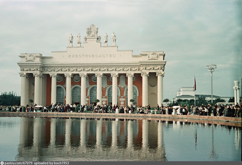 Вднх павильон 42. Павильон Москва ВДНХ 1954. Павильон животноводство на ВДНХ 1954. Павильон животноводство на ВСХВ. Павильон 42 животноводство на ВДНХ.