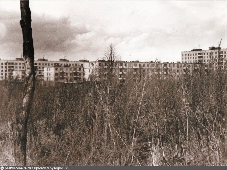 Фото беляево москва старые