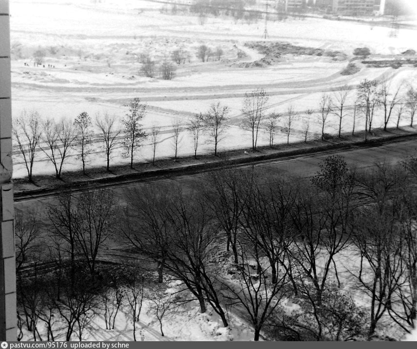 Старые химки. Химки 1980. Старые Химки Химки. Фото Химки 1980.