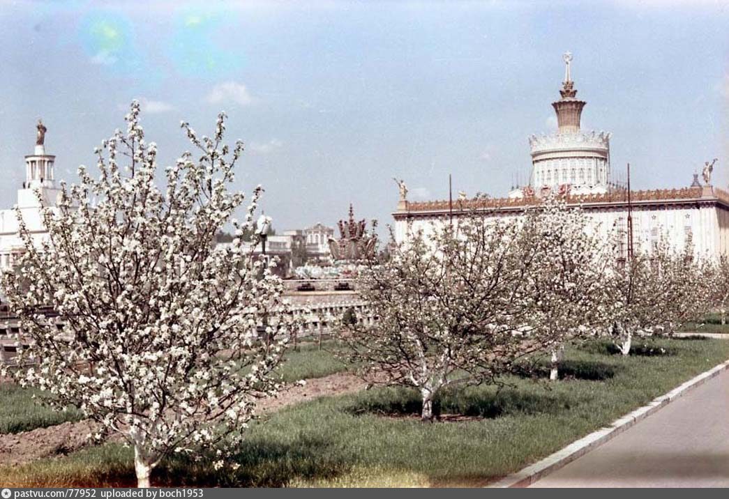 Советская Весна Фото