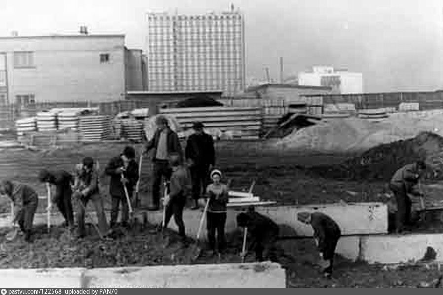 Строительство 1974. ЛОНИИС. ЛОНИИС СПБ. ЛОНИИС агония. ЛОНИИС В СПБ реконструкция.