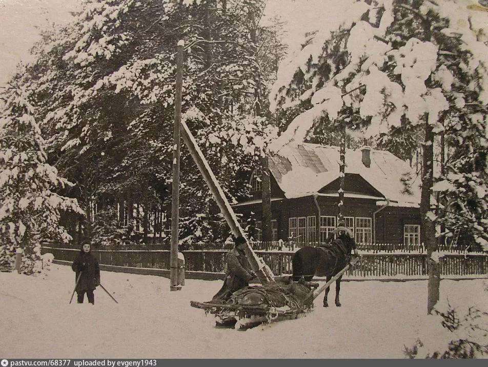 Старая карта лосинки