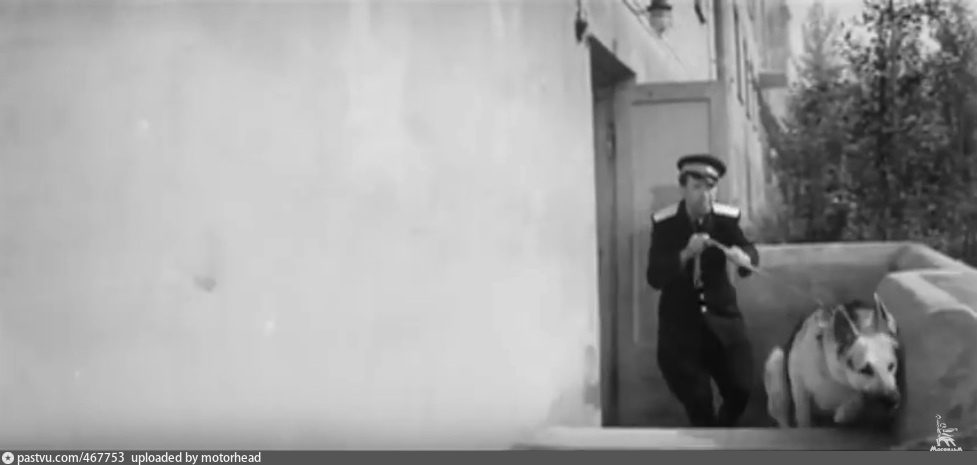 Университетский 23 к. 3. "Домовая кухня"