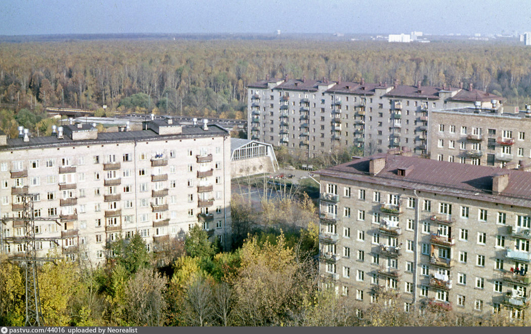 Хавал лосиный остров официальный Хавал лосиный остров официальный