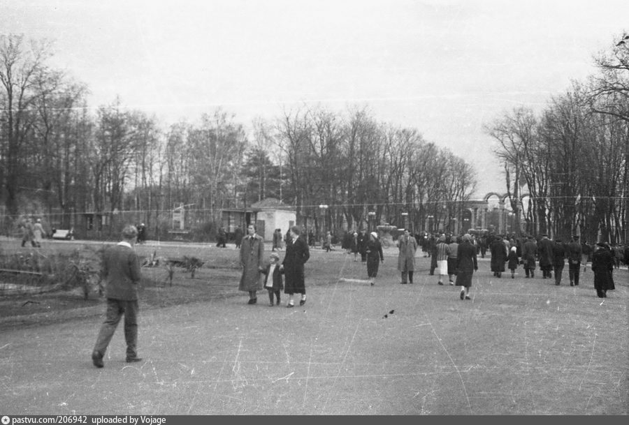 Москва сокольники старые