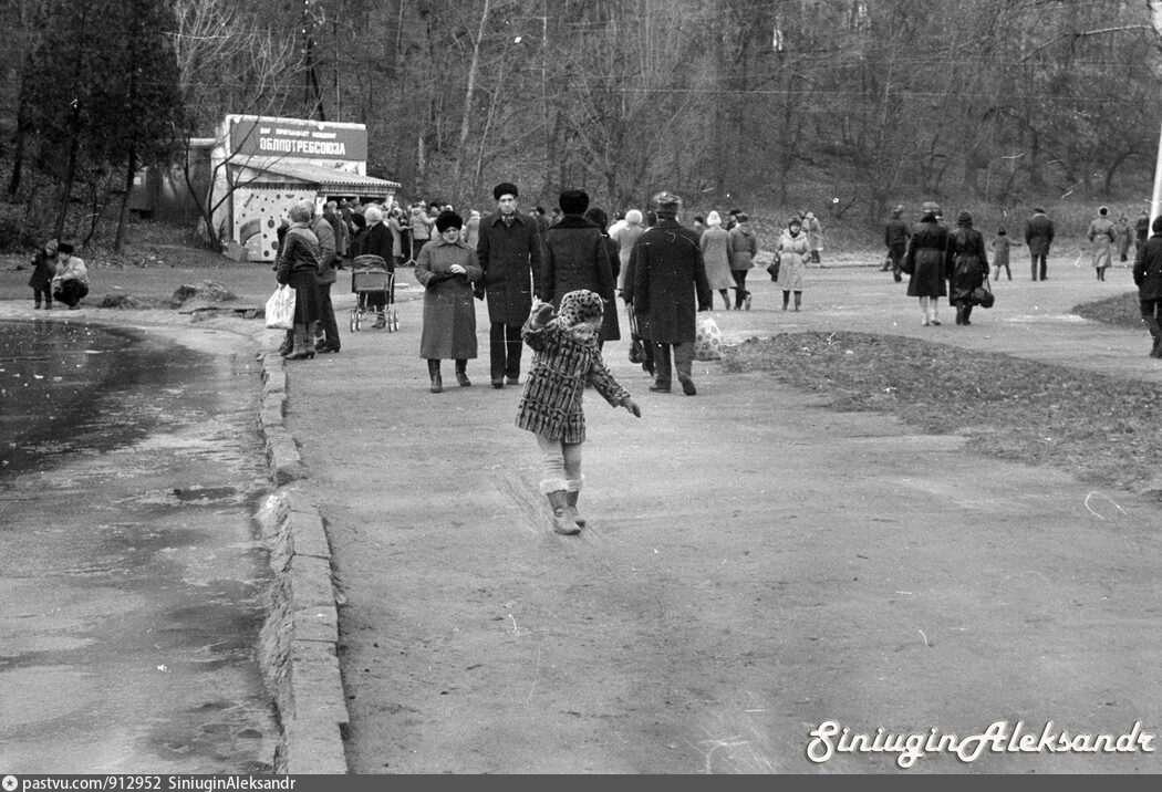 Парк воронеж старые