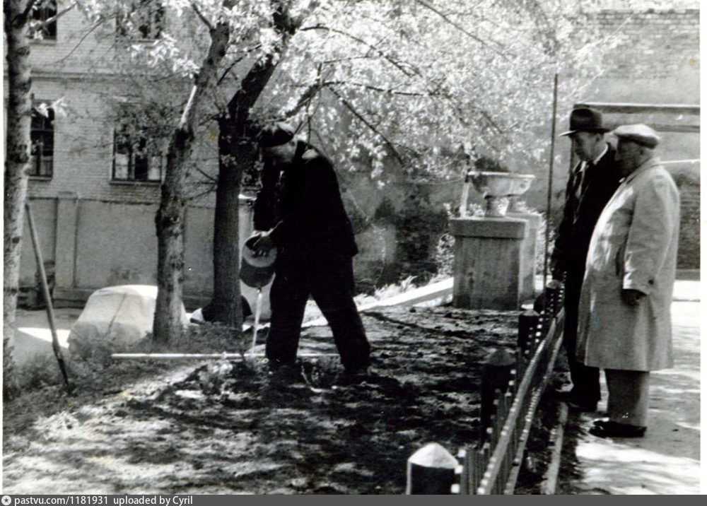 Фрунзенская набережная, 8. Около сада П. И. Травникова