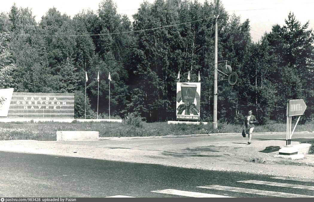 Поселки ленинградское шоссе. ВНИИПП поселок. Поселок ВНИИПП Солнечногорского района. ВНИИПП Ржавки. Солнечногорск Ленинградское шоссе.