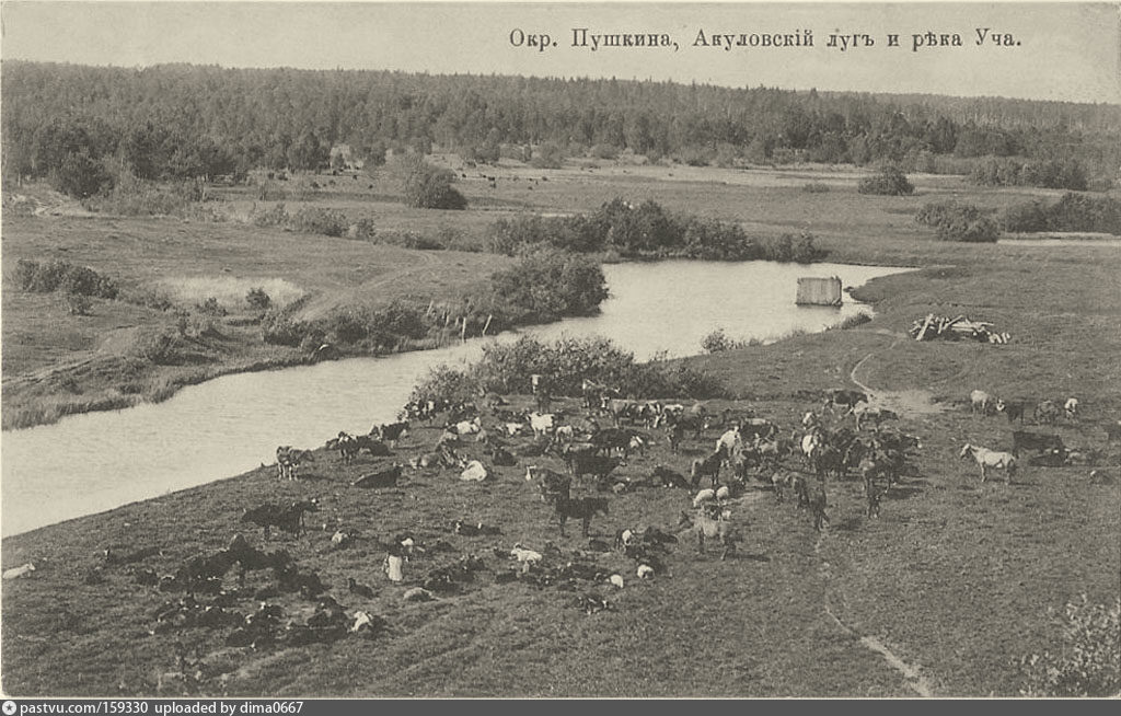 Лужская деревня