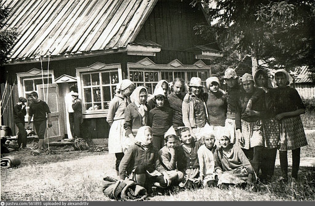 Село екатерининское. Пионерский лагерь Тарский район. Пионерский лагерь Чайка Омская область Тарский район. Пионерский лагерь с Екатерининское Тарский район. Пионерский лагерь овская область.