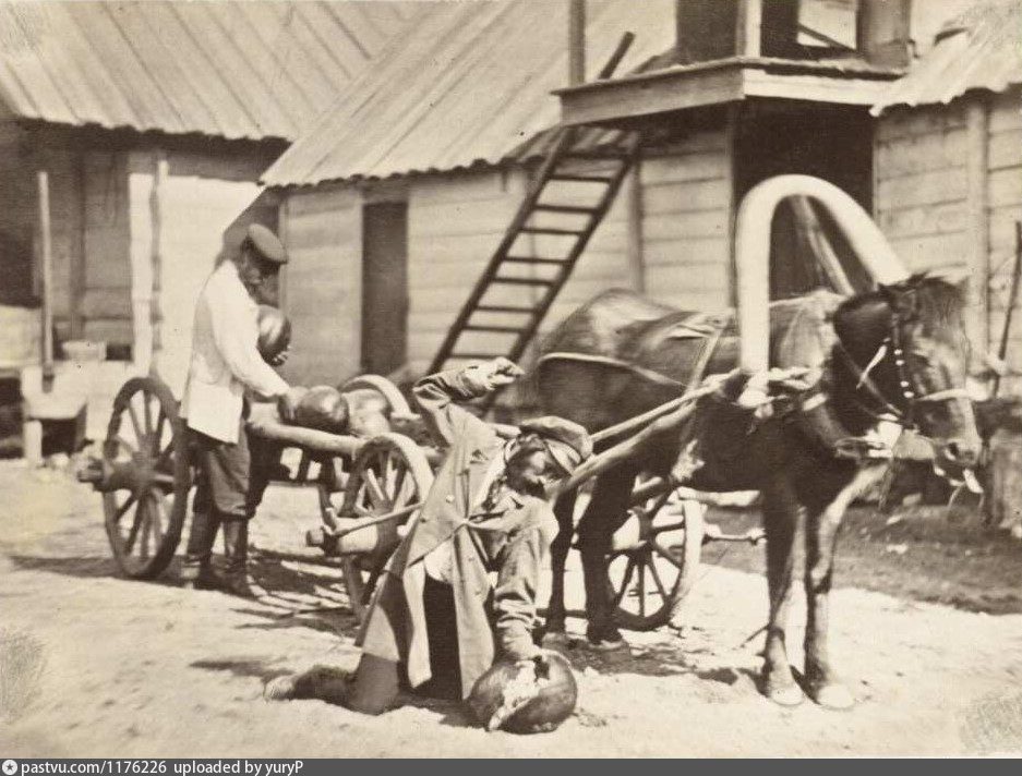 Повседневная жизнь казаков в 19 веке