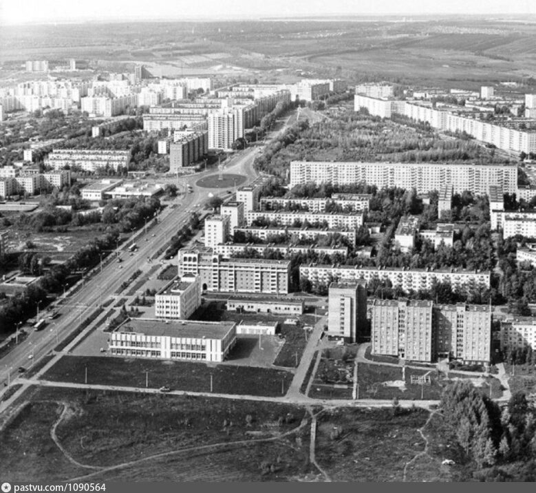 Цветы В Горшках Пенза Арбеково Купить