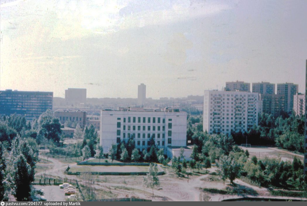 Ленинский проспект, дом № 77. Школа, пруд