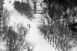 Парк Динамо (1960)