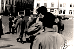 На территории Московского Кремля (1960)