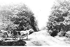 Извозчик на Парковой улице (1895)