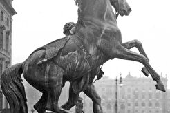 Rossebändiger (1920)