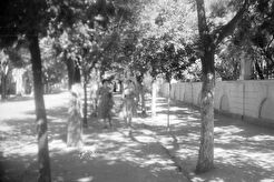Улица Ленина (1960)