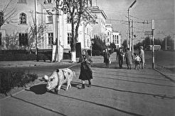 Возле музея (1960)