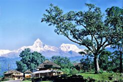 Pokhara (1974)