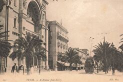 Tunis. Avenue Jules-Ferry (1905)