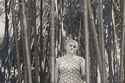 Заросли Бамбука в Сухумском бод.саде (1960)