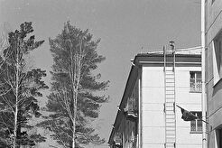 Улица Правды, 1, во дворе дома (1960)