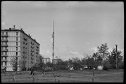 Вид на Останкинскую башню (1974)